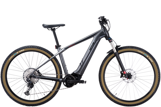 E-Transhill CX12 Gent